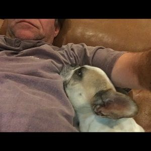 Meet your Posher, Damian